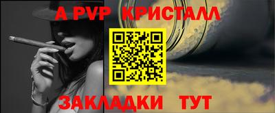 прущие грибы Нальчик