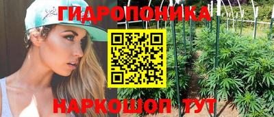прущие грибы Нальчик