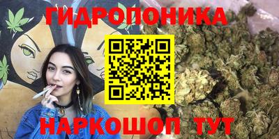 прущие грибы Нальчик
