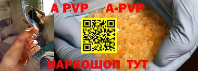 прущие грибы Нальчик