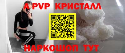 прущие грибы Нальчик