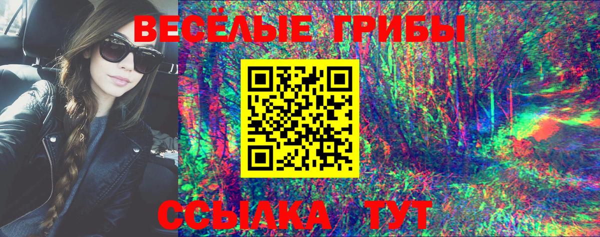 Псилоцибиновые грибы Psilocybine cubensis Ялуторовск