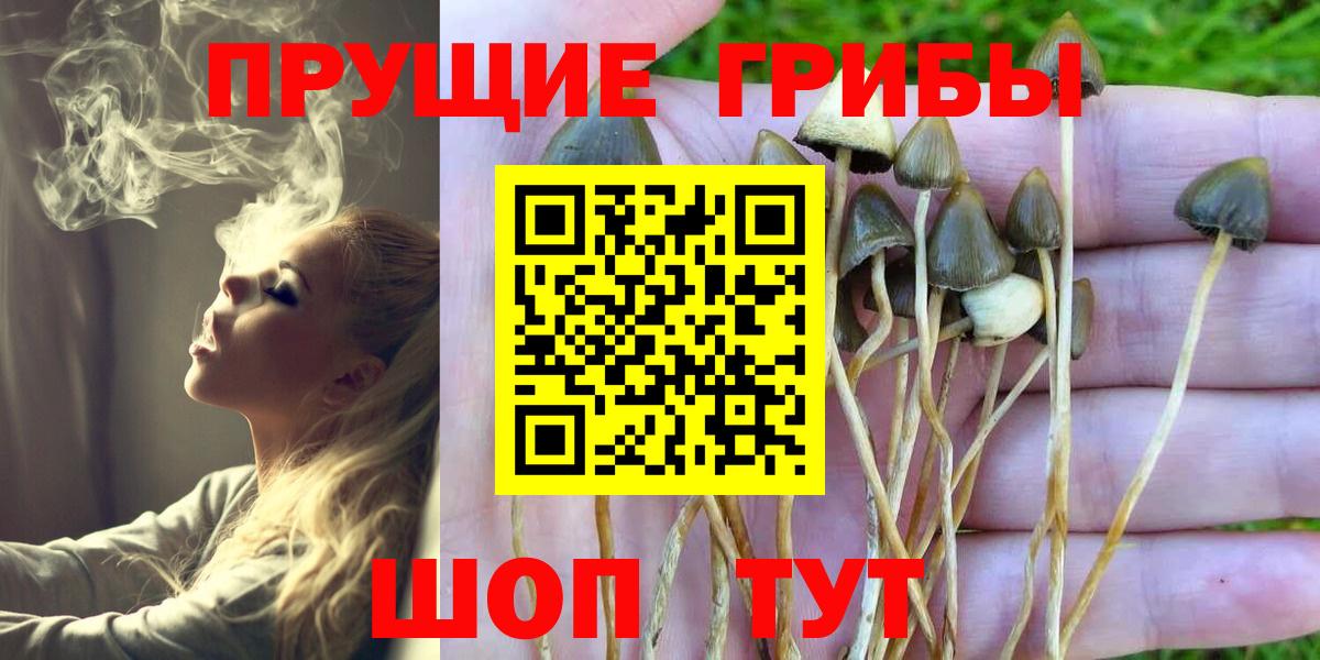 Ялуторовск  Галлюциногенные грибы MAGIC MUSHROOMS  Псилоцибиновые грибы Magic Shrooms  Вход с VPN 